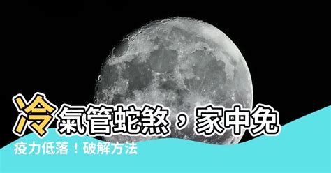 蛇煞化解紅紙|【室外蛇煞】小心室外蛇煞！風水毒蛇煞危害大，教你。